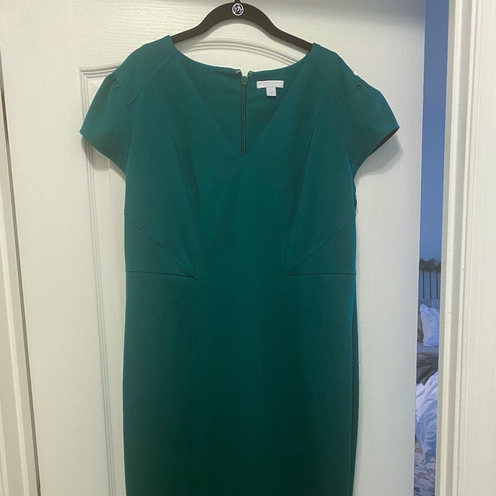 New York & Co, Stretch